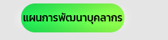 แผนการพัฒนาบุคลากร